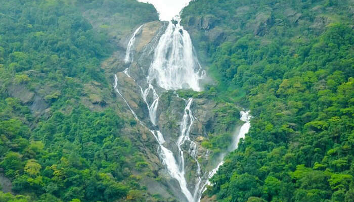 DudhSagar falls Jeep Safari & Spice Plantation Tour